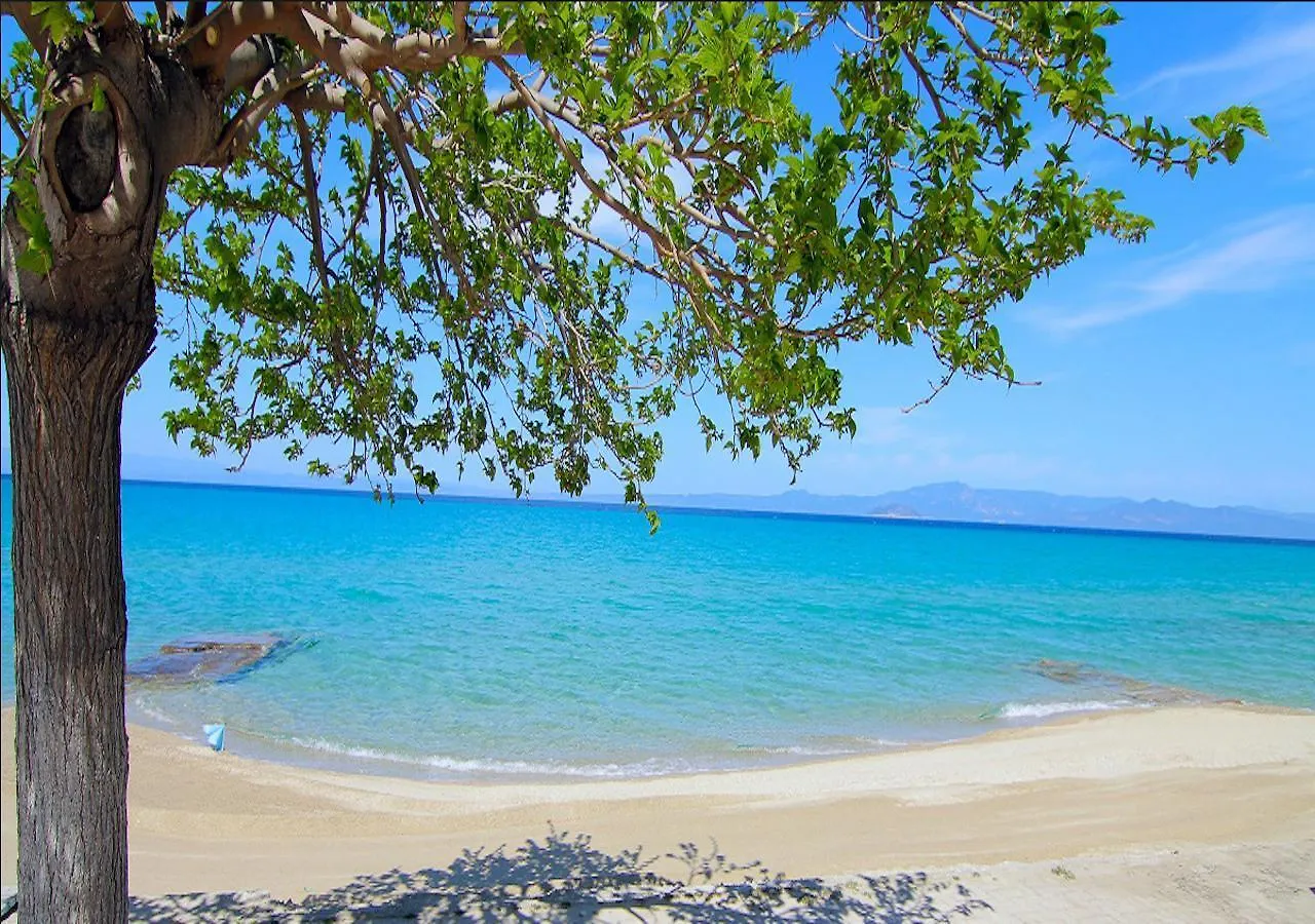 Kokkos Brothers Kallithea